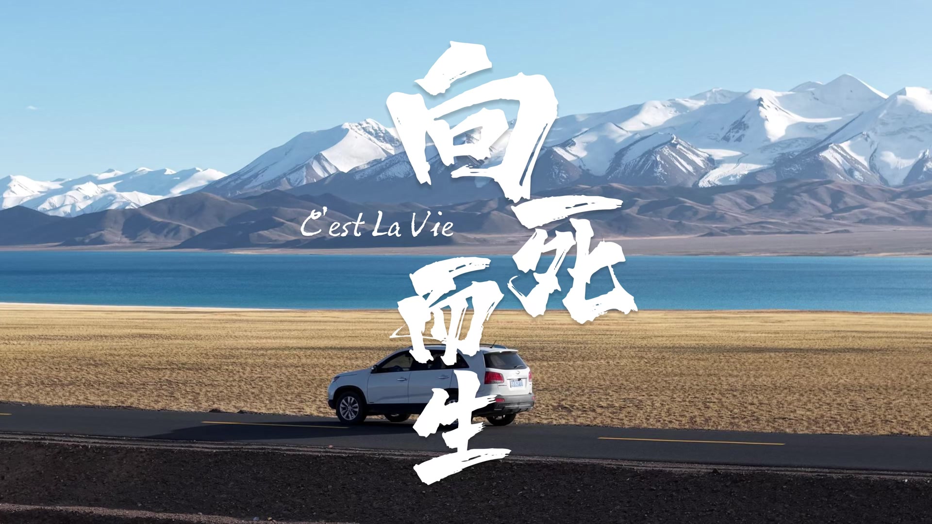 向死而生 · 片头字卡