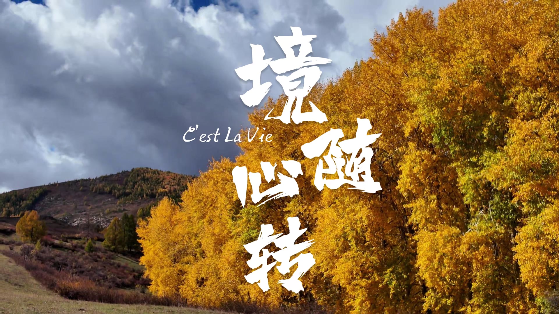 境随心转 · 片头字卡